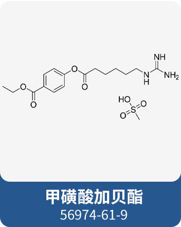 甲磺酸加貝酯